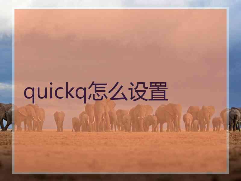 quickq怎么设置