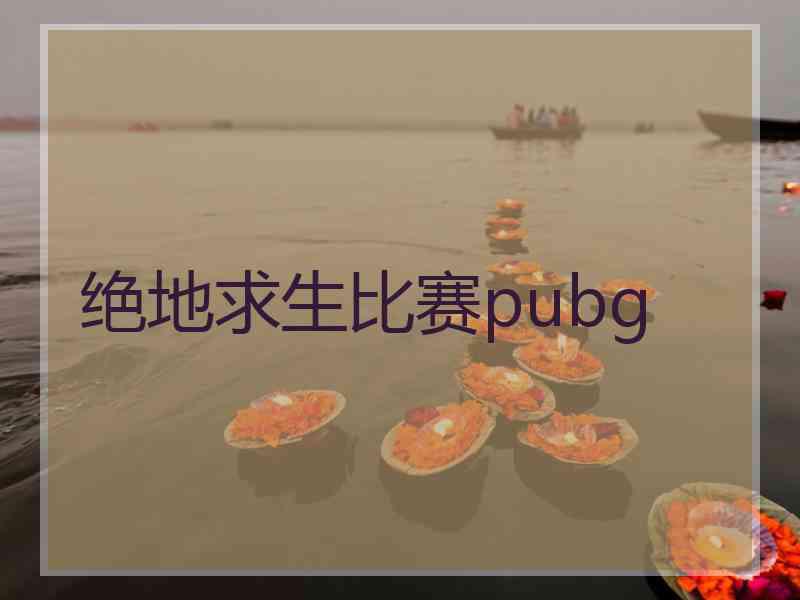 绝地求生比赛pubg