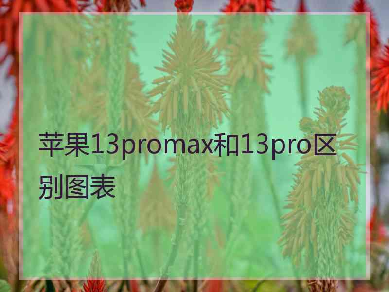 苹果13promax和13pro区别图表