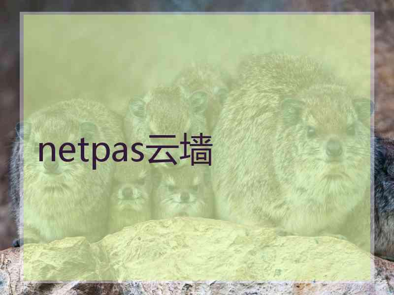 netpas云墙