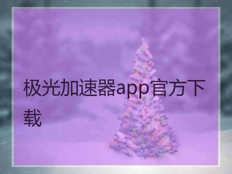 极光加速器app官方下载