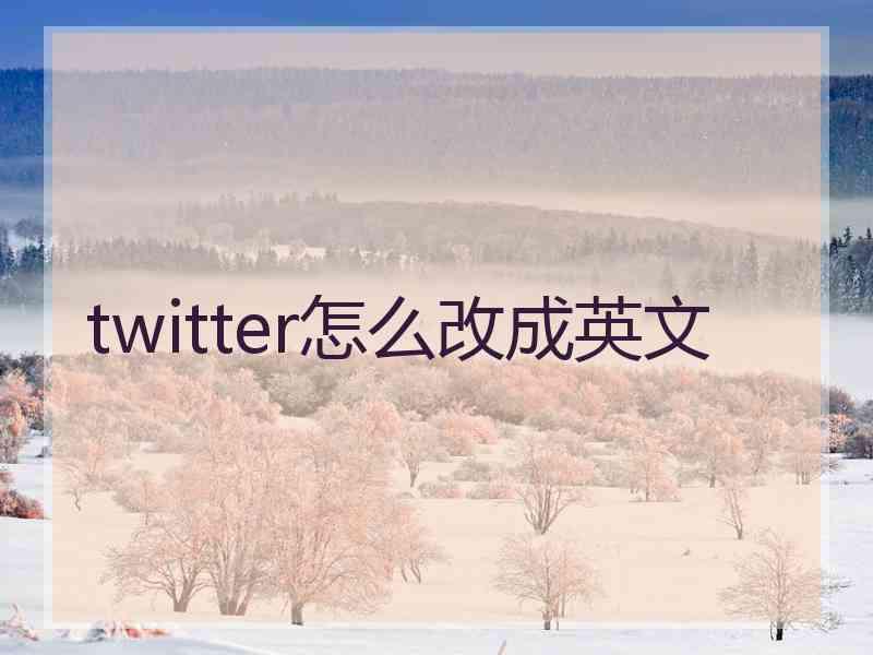 twitter怎么改成英文