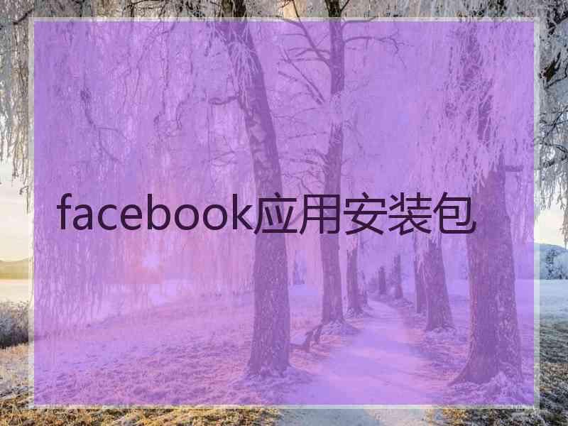 facebook应用安装包