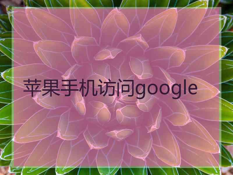 苹果手机访问google