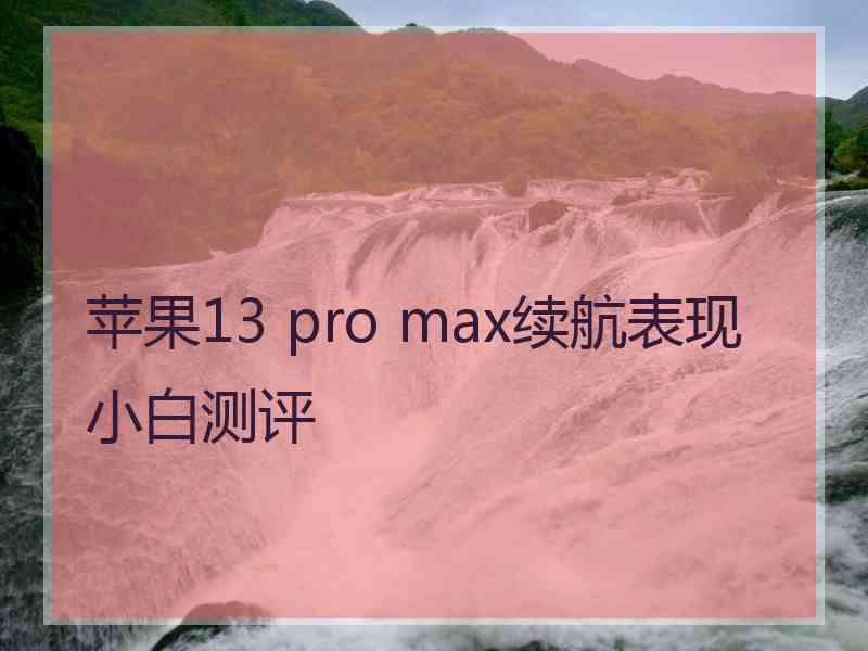 苹果13 pro max续航表现小白测评