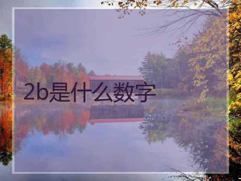 2b是什么数字