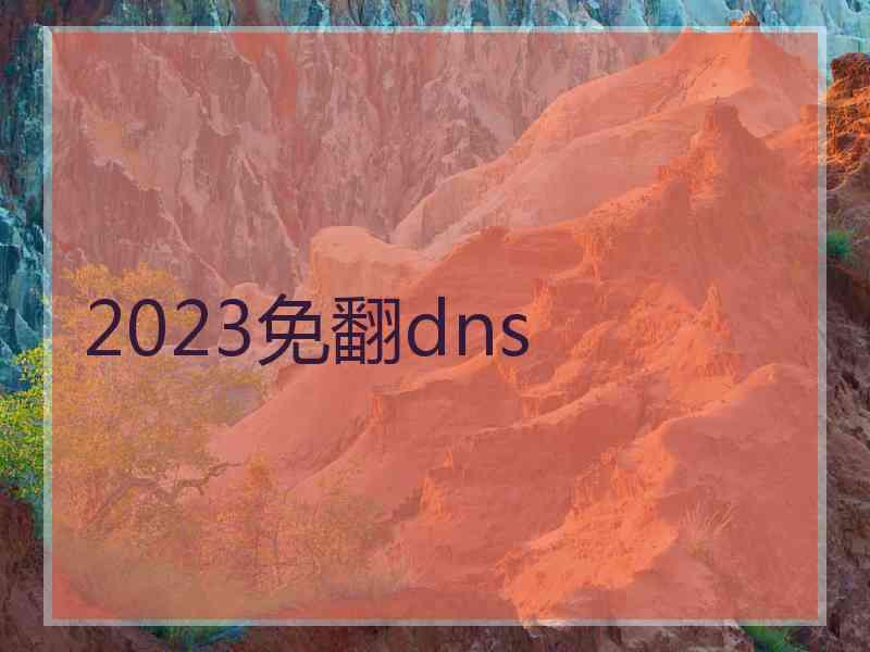 2023免翻dns