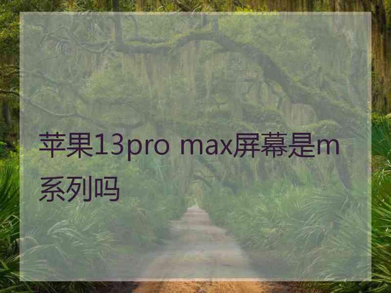 苹果13pro max屏幕是m系列吗