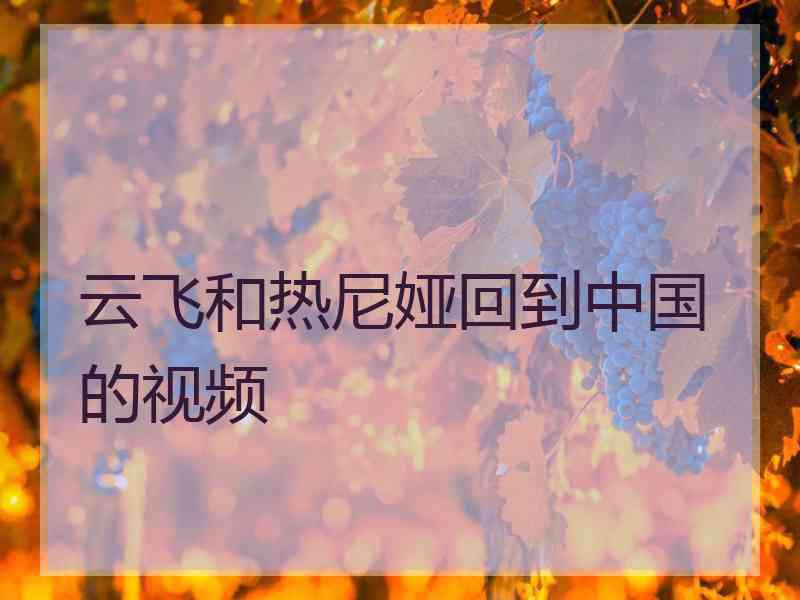 云飞和热尼娅回到中国的视频