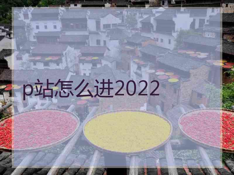 p站怎么进2022