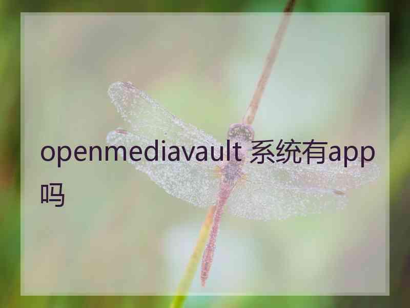 openmediavault 系统有app吗