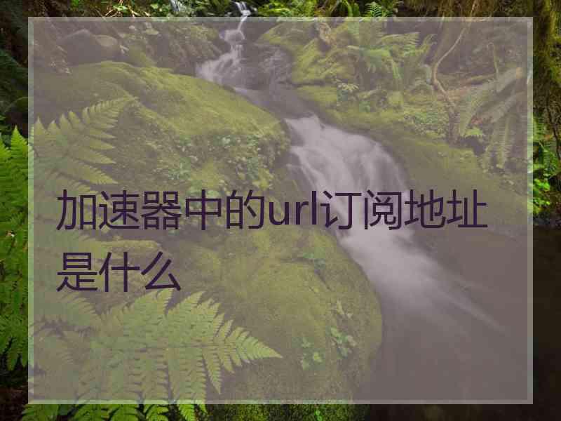 加速器中的url订阅地址是什么