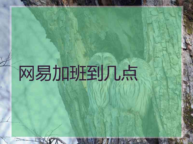 网易加班到几点