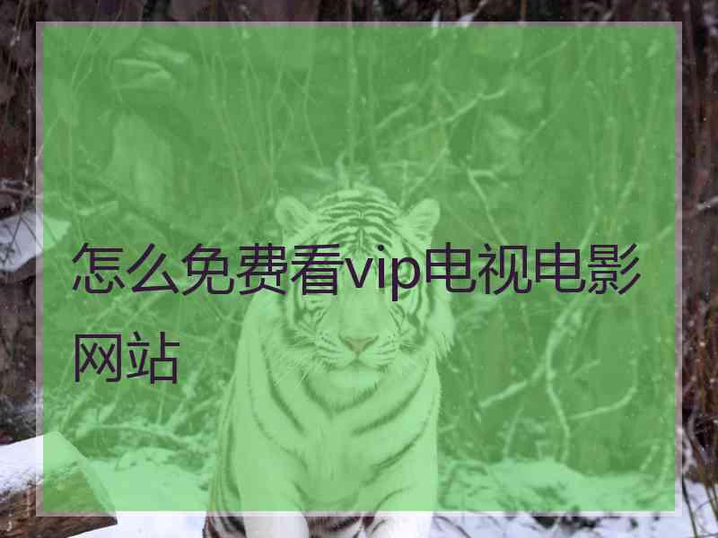 怎么免费看vip电视电影网站