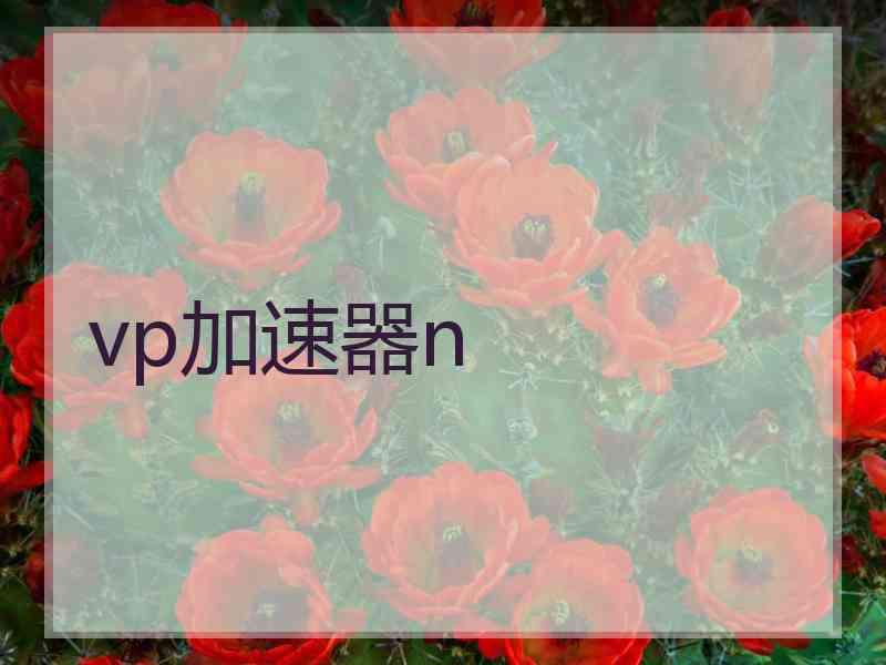 vp加速器n