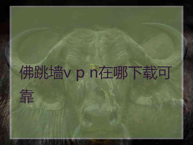 佛跳墙v p n在哪下载可靠