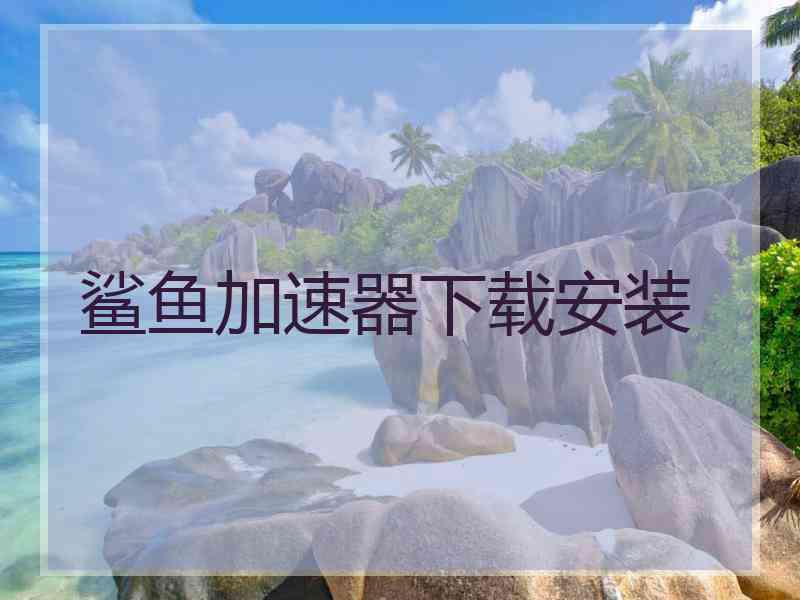 鲨鱼加速器下载安装