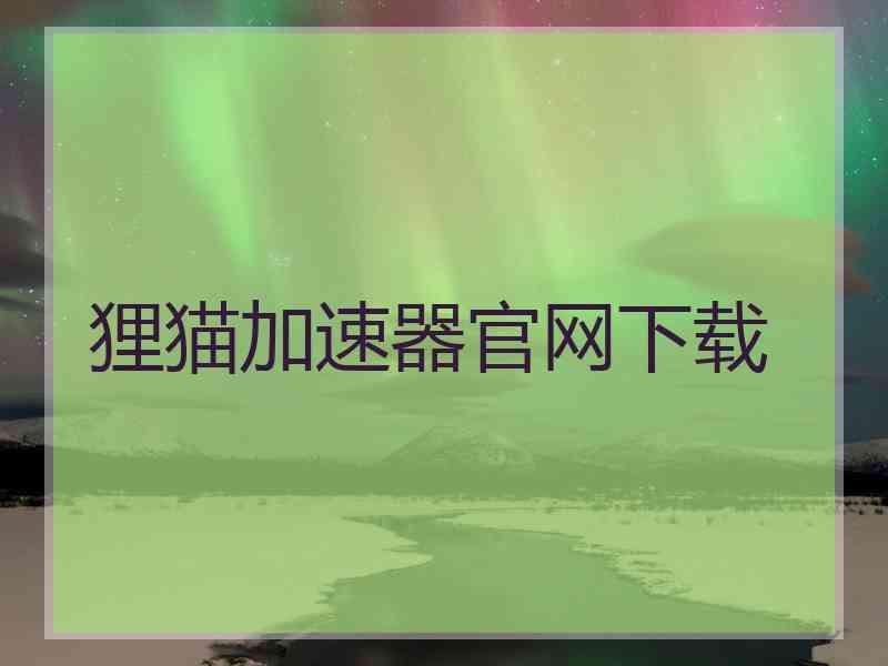 狸猫加速器官网下载