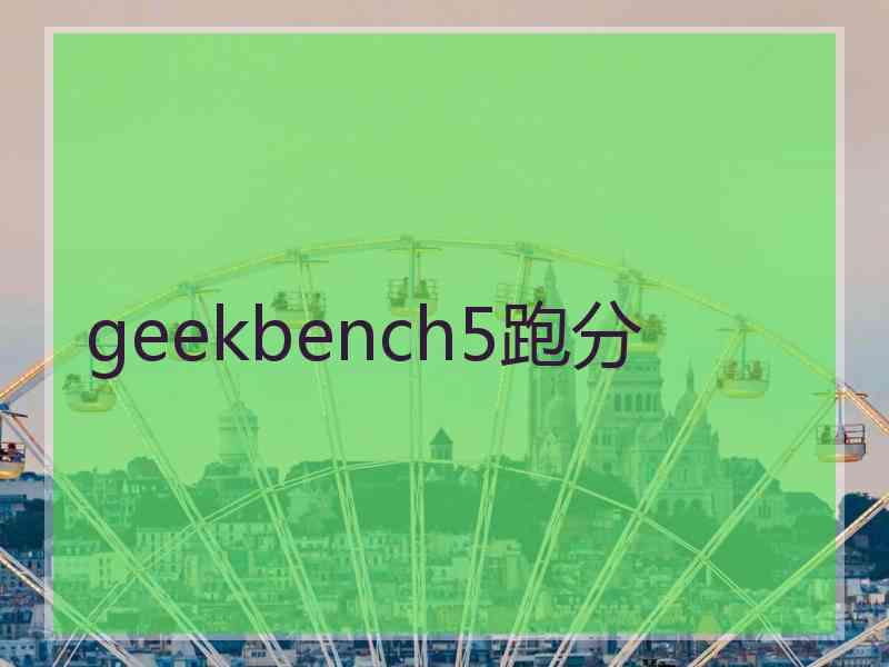 geekbench5跑分