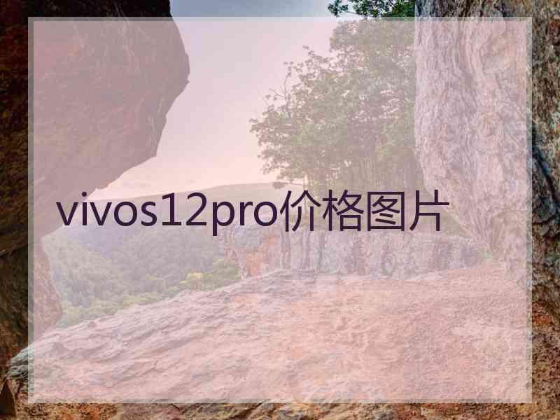 vivos12pro价格图片