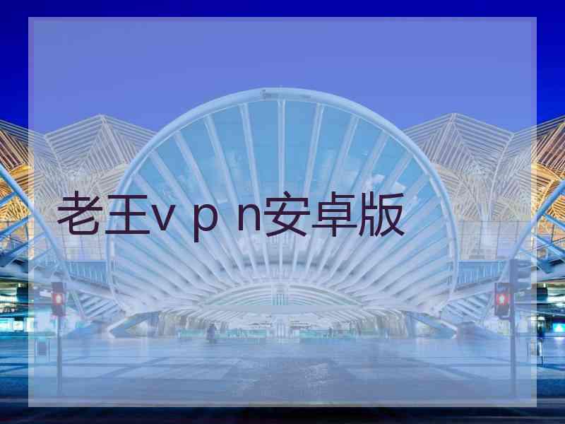 老王v p n安卓版