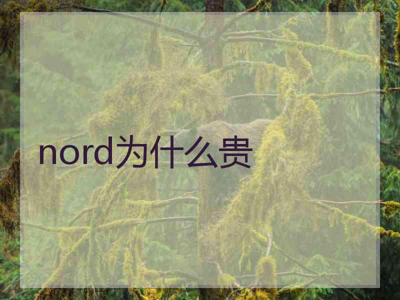 nord为什么贵