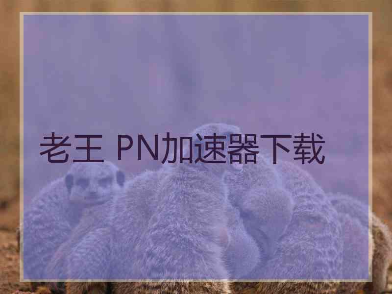 老王 PN加速器下载