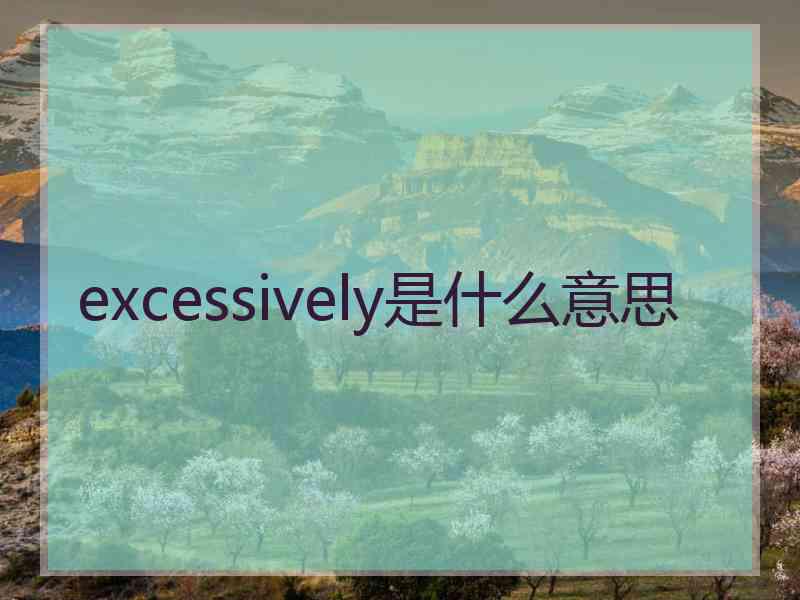 excessively是什么意思