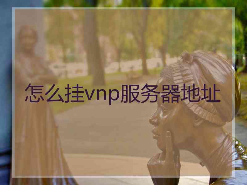 怎么挂vnp服务器地址