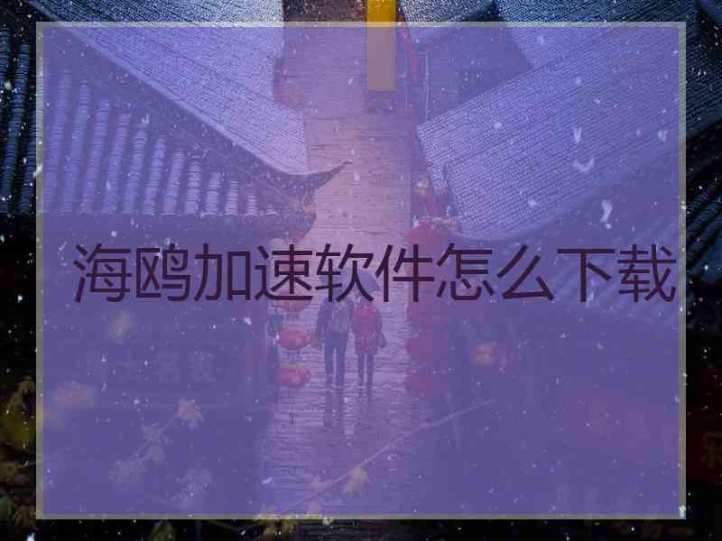 海鸥加速软件怎么下载