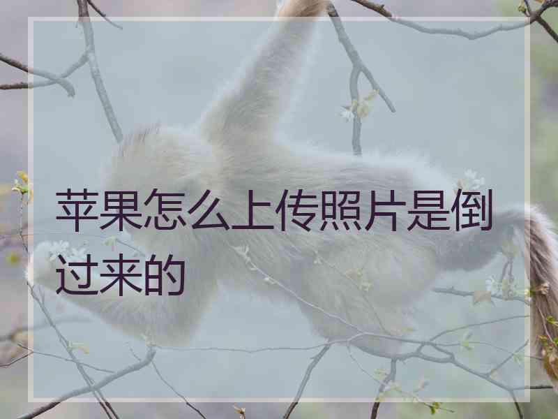 苹果怎么上传照片是倒过来的