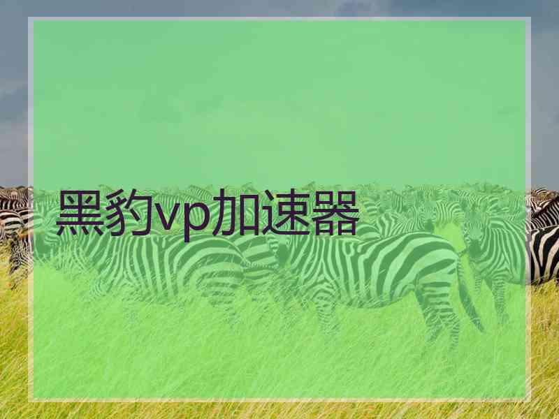 黑豹vp加速器