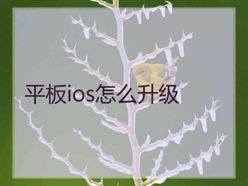 平板ios怎么升级