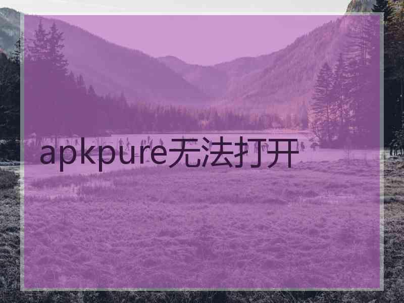 apkpure无法打开