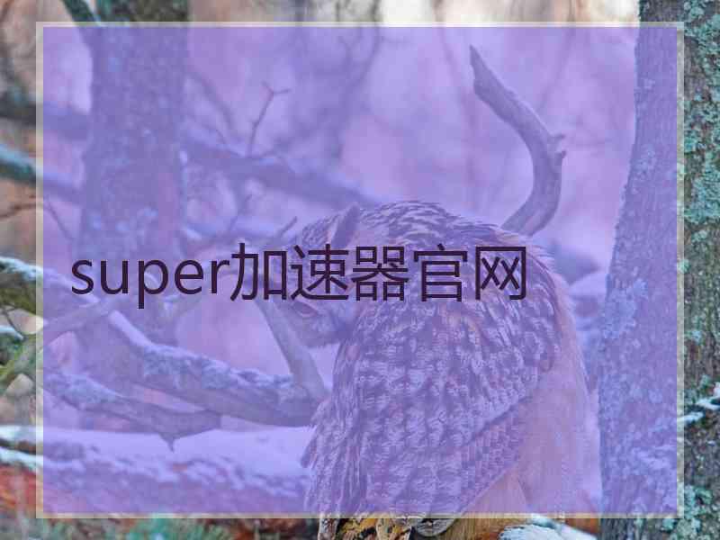 super加速器官网