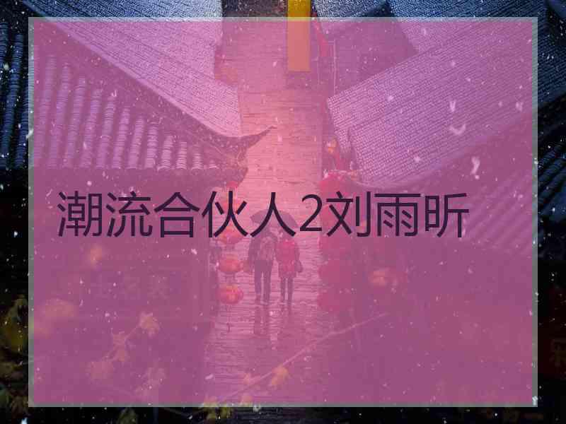 潮流合伙人2刘雨昕