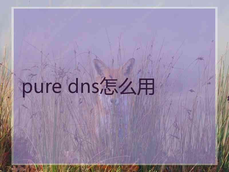 pure dns怎么用