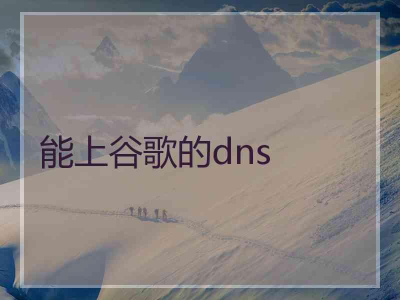 能上谷歌的dns