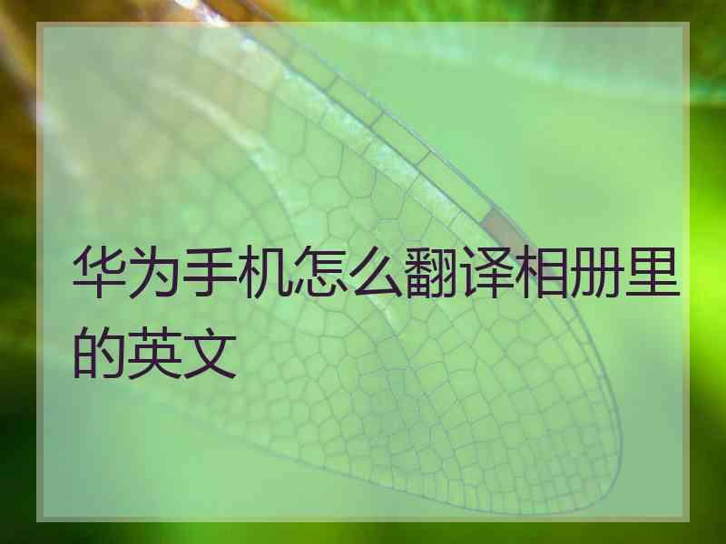 华为手机怎么翻译相册里的英文