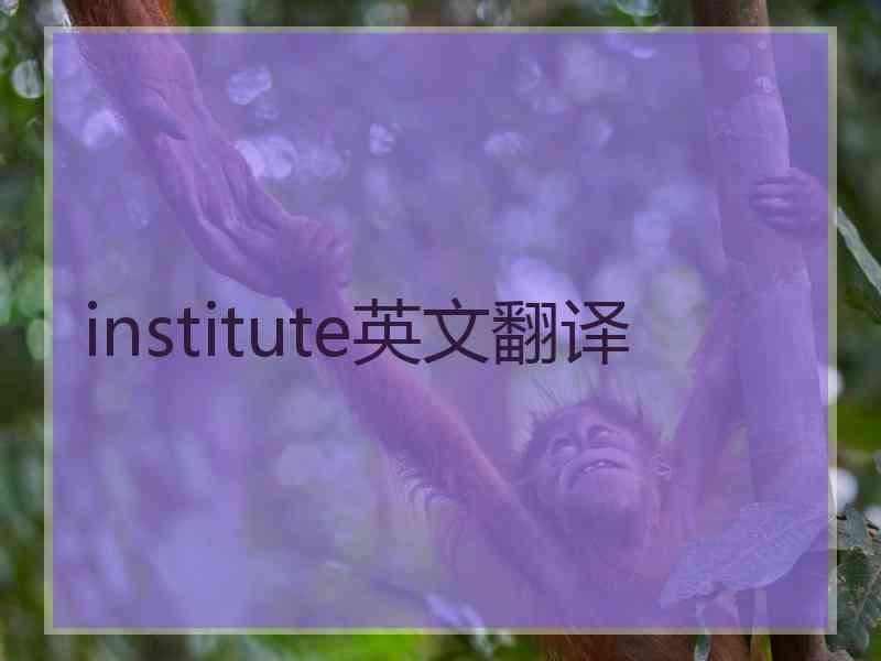 institute英文翻译