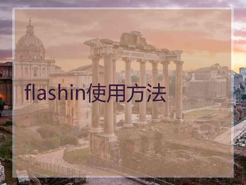 flashin使用方法