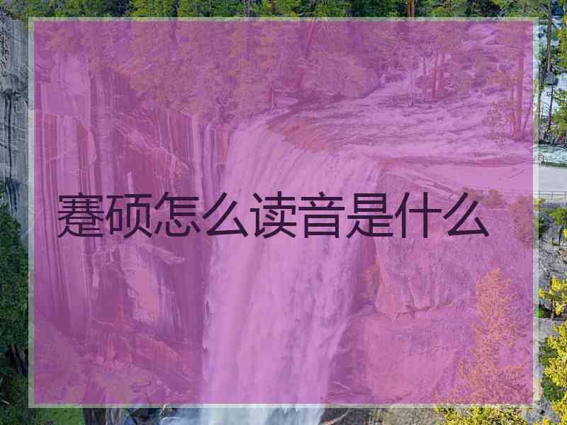 蹇硕怎么读音是什么