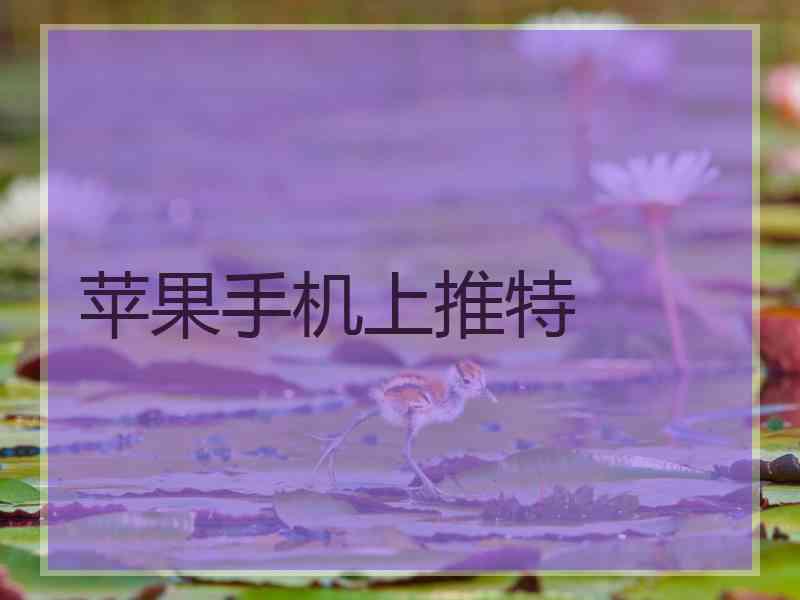 苹果手机上推特