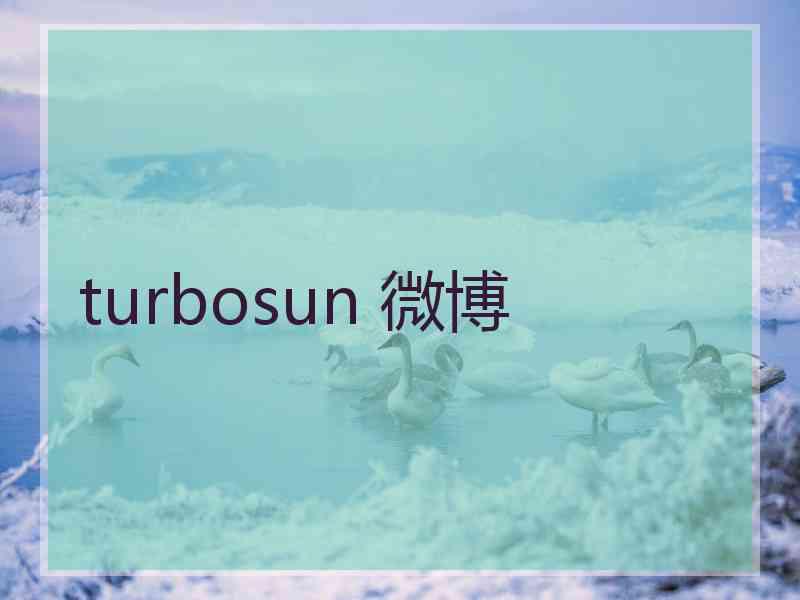 turbosun 微博