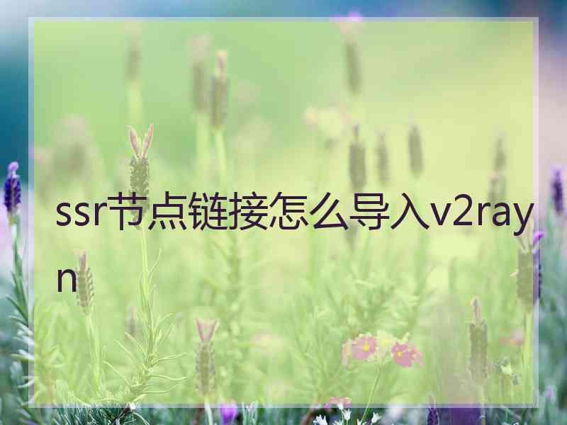 ssr节点链接怎么导入v2rayn