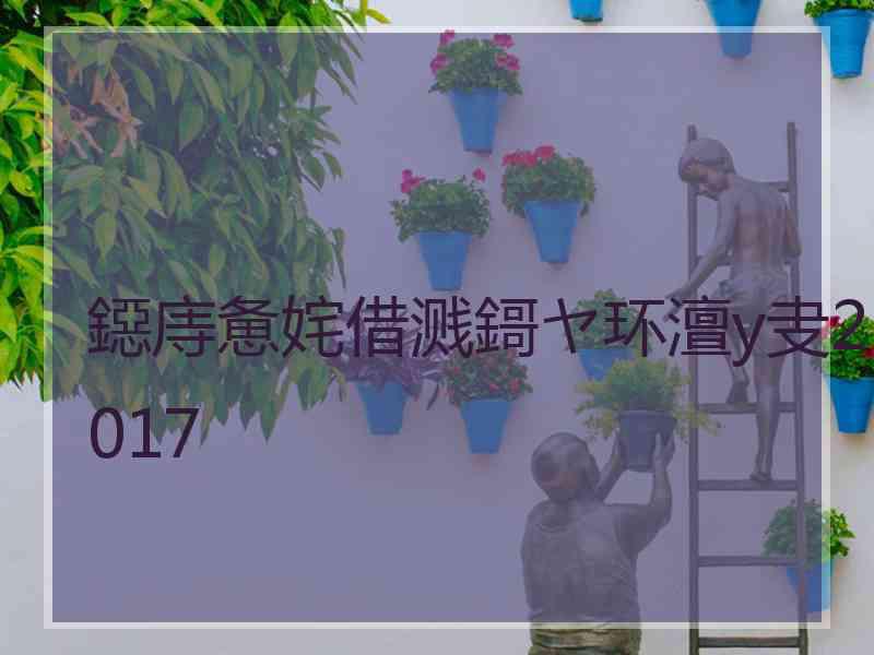 鐚庤惫姹借溅鎶ヤ环澶у叏2017