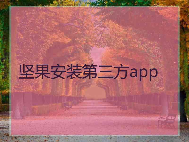 坚果安装第三方app