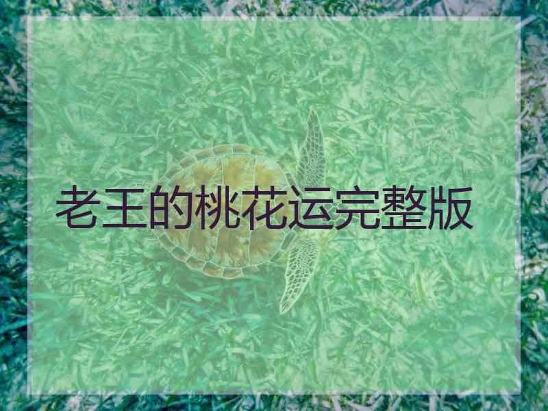 老王的桃花运完整版