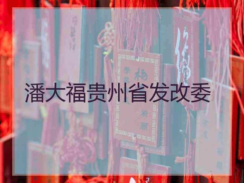 潘大福贵州省发改委