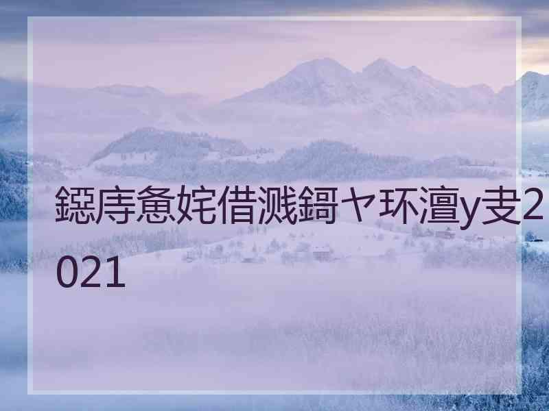 鐚庤惫姹借溅鎶ヤ环澶у叏2021